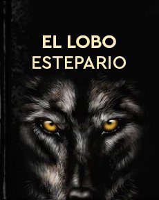 Resumen de El Lobo Estepario Análisis Del Libro